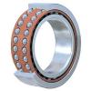 NSK Philippines 3204BTNC3 Ball Bearings