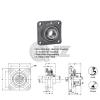 2.25 in Square Flange Units Cast Iron UCF212-36 Mounted Bearing UC212-36+F212 #2 small image