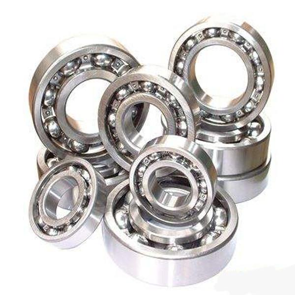 6007ZZN, Malaysia Single Row Radial Ball Bearing - Double Shielded, Snap Ring Groove #1 image